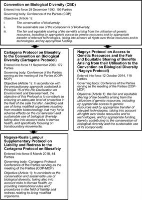 Regulation of Synthetic Biology: Developments Under the Convention on Biological Diversity and Its Protocols